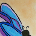 Butterfly 10